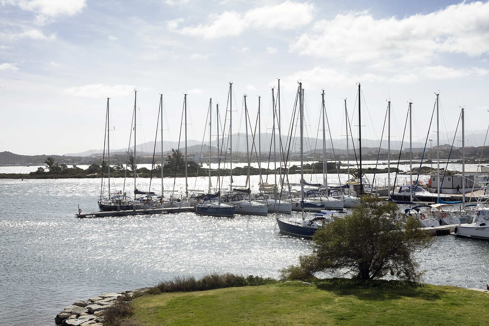Port of Olbia: panoramic view